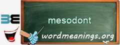 WordMeaning blackboard for mesodont